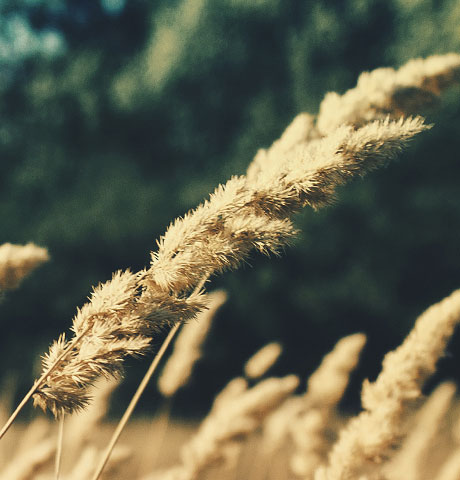 电话短信轰炸机